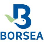 borsea borsea